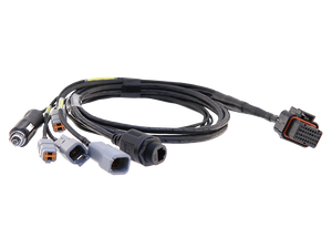 MoTeC C125 / C127 / C1212 Terminated Harness