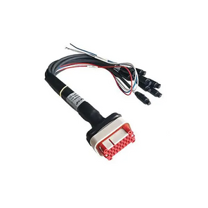 AiM 23 pins AMP Wiring for MXS Strada - Standard - Race Beat