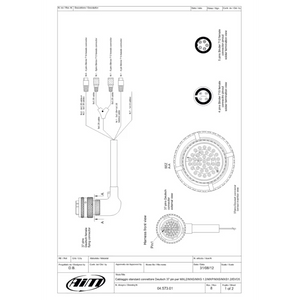 AiM Evo 5_ 37 pin Harness - Race Beat