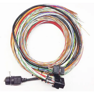 MOTEC M130 Basic Harness 10’ Unterm - Wiring Accessories