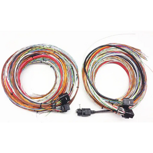 MOTEC M142 Basic Harness 10’ Unterm - Wiring Accessories