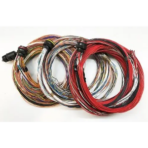 MOTEC M190 Basic Harness 10’ Unterm - Wiring Accessories