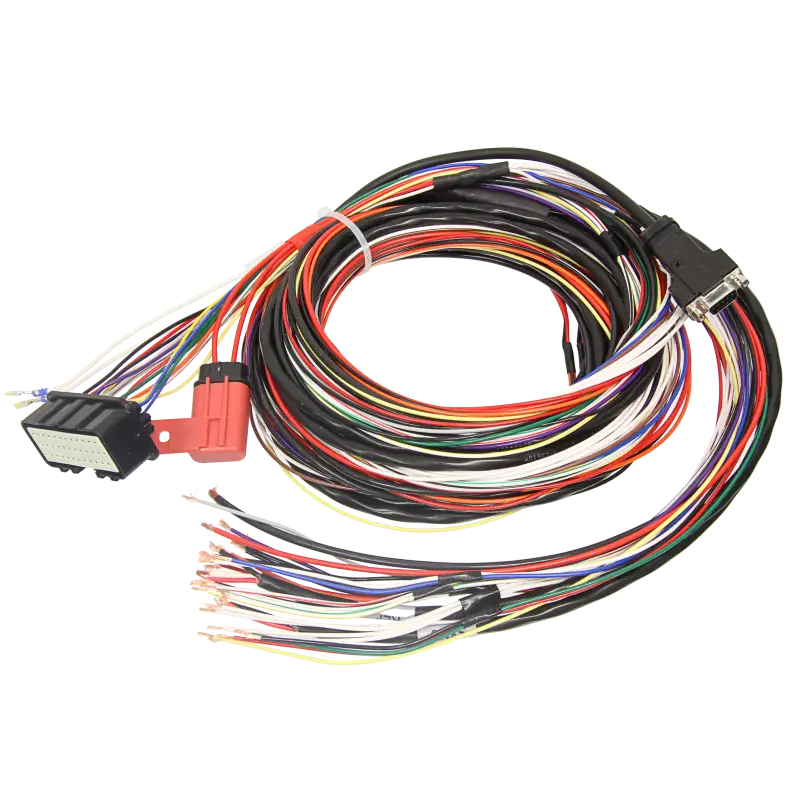 Motec M4 Basic Harness 10 